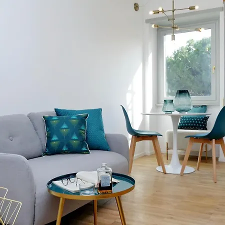 Renovated And Cozy Flat Apartment
